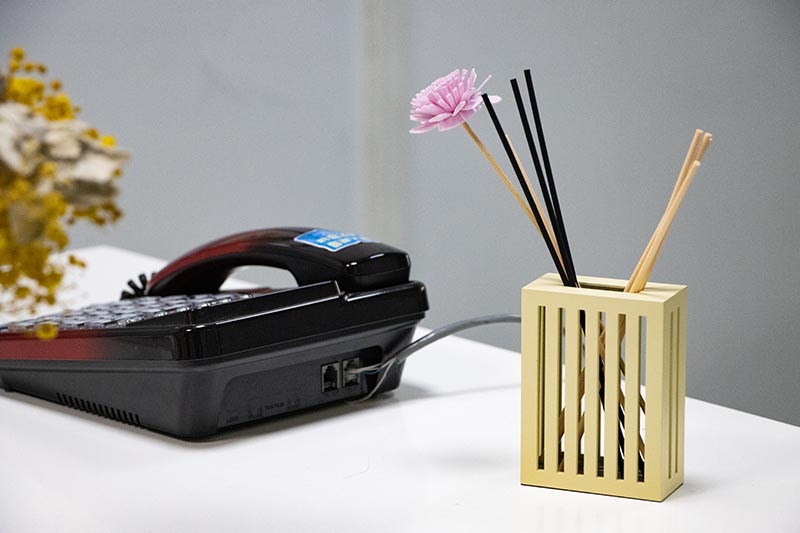 Gold Alloy Reed Diffuser Home Fragrance Decor