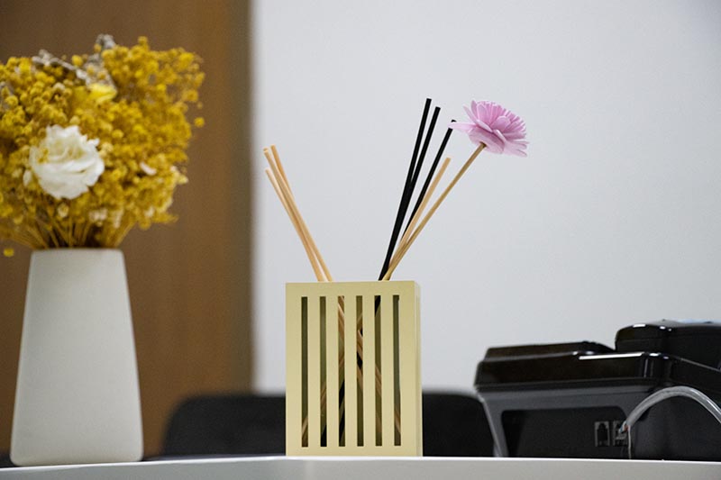 Gold Alloy Reed Diffuser Home Fragrance Decor