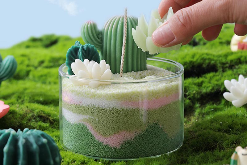 Decorative Scented Candles in Adorable Succulent Designs