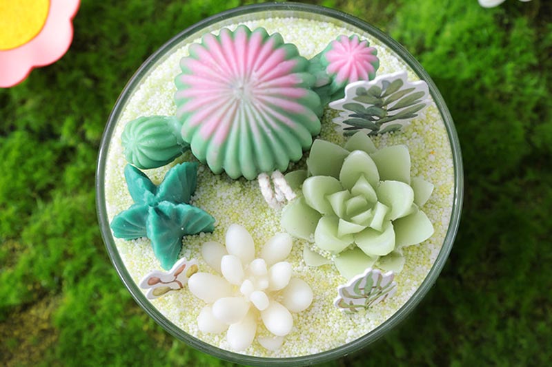 Decorative Scented Candles in Adorable Succulent Designs