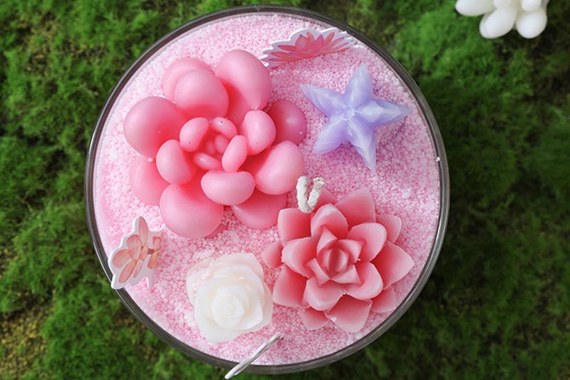 Decorative Scented Candles in Adorable Succulent Designs